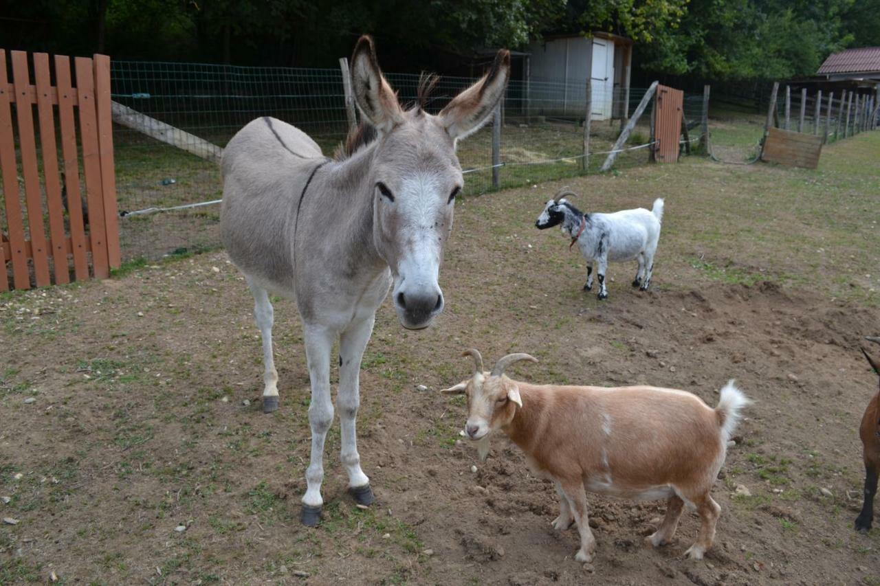 Le Paradis Des Animaux Coublevie Экстерьер фото