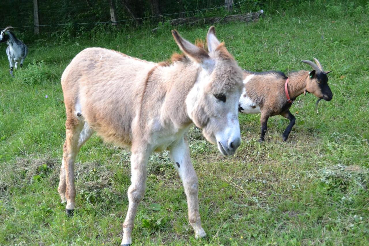 Le Paradis Des Animaux Coublevie Экстерьер фото